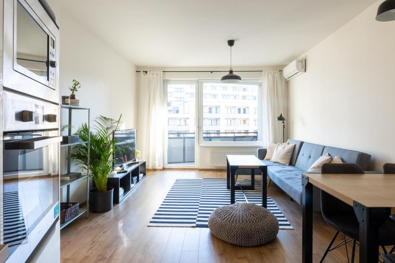 קושיצה Quiet & Cozy Apartment Old Town - Free Underground Parking מראה חיצוני תמונה